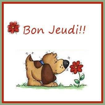 Image du Blog entre-chien-et-chat.centerblog.net